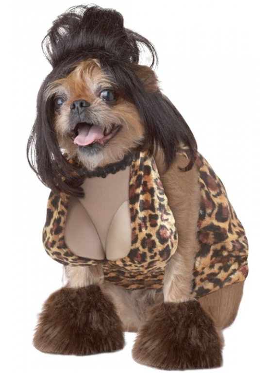 25 Adorable Pet Costumes