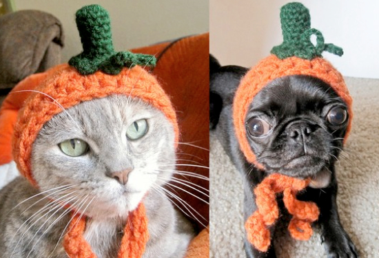 25 Adorable Pet Costumes