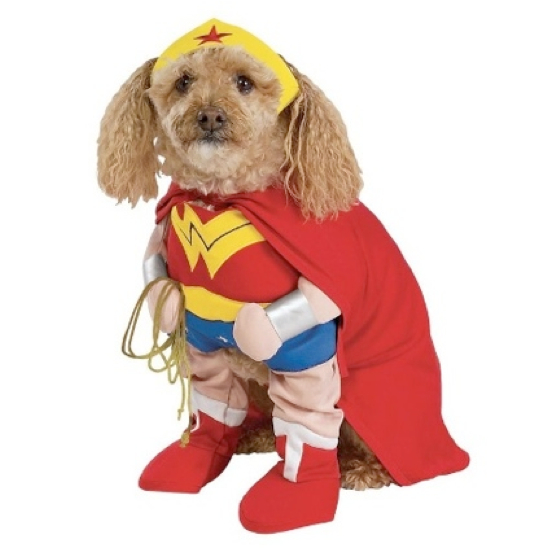 25 Adorable Pet Costumes