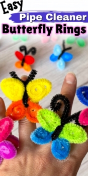 Pipe Cleaner Butterfly Rings