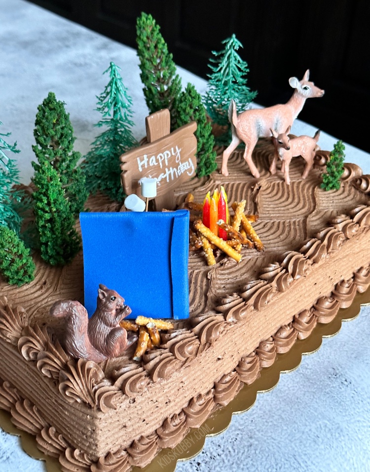 Camp Fire Cake - Easy Peasy Birthday Cake Idea - Kids Kubby
