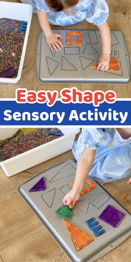 Magnetic Shapes Sensory Activity